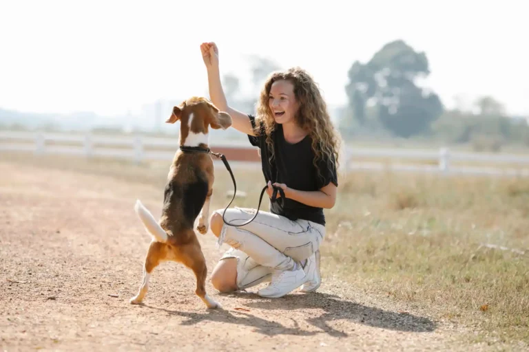 Formation animale : quelles voies pour travailler avec les animaux