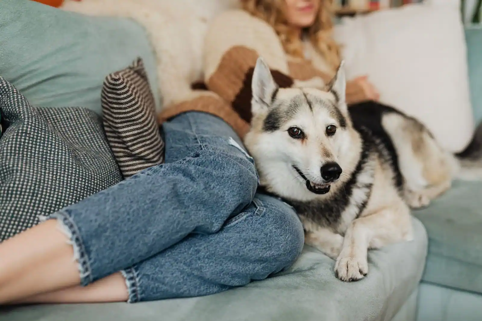 Une femme et son chien partagent un moment calme sur un canapé, dans un intérieur chaleureux
