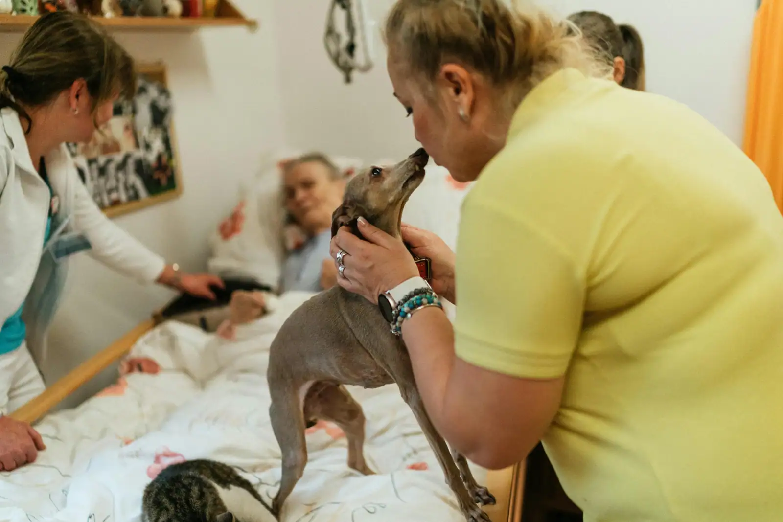 Lors d'une visite de médiation animale en maison de retraite, une intervenante présente un petit chien à une personne âgée alitée
