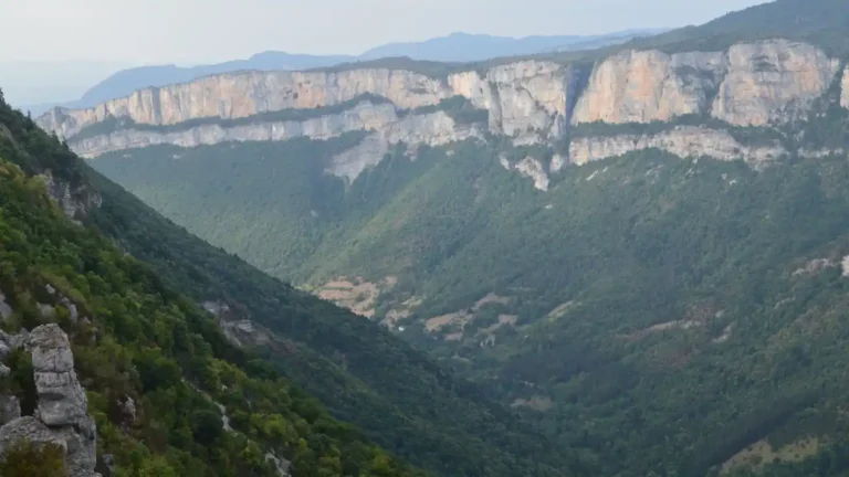 Balade en famille dans la forêt de Saoû